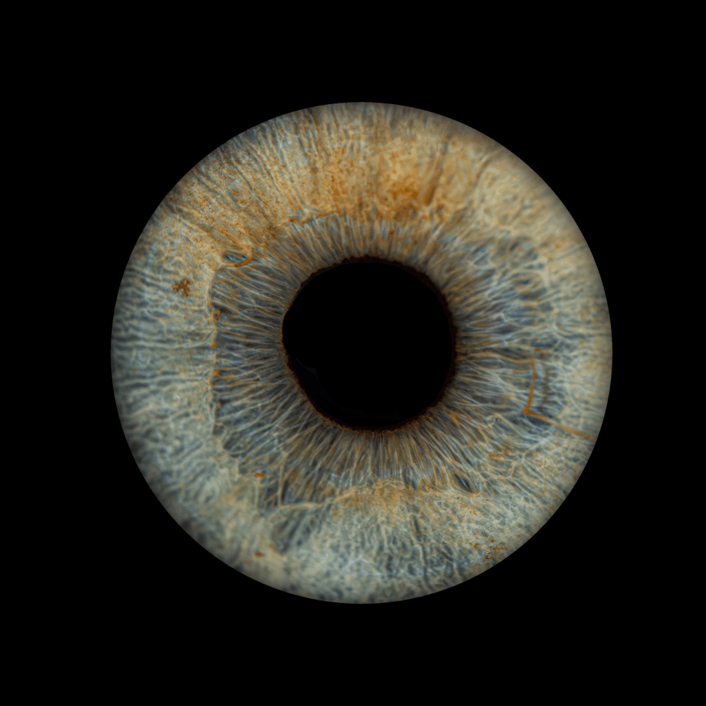Grüne Iris