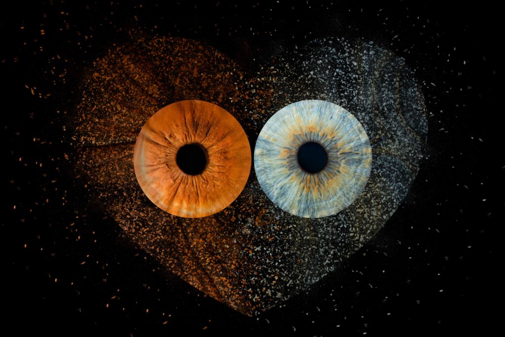 Iris in Herzform