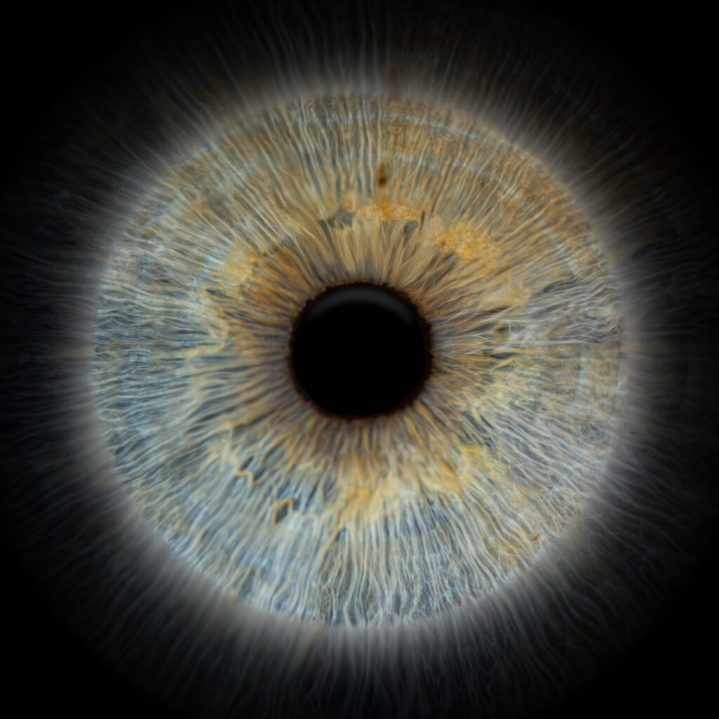 Iris erweitert als Kunstwerk