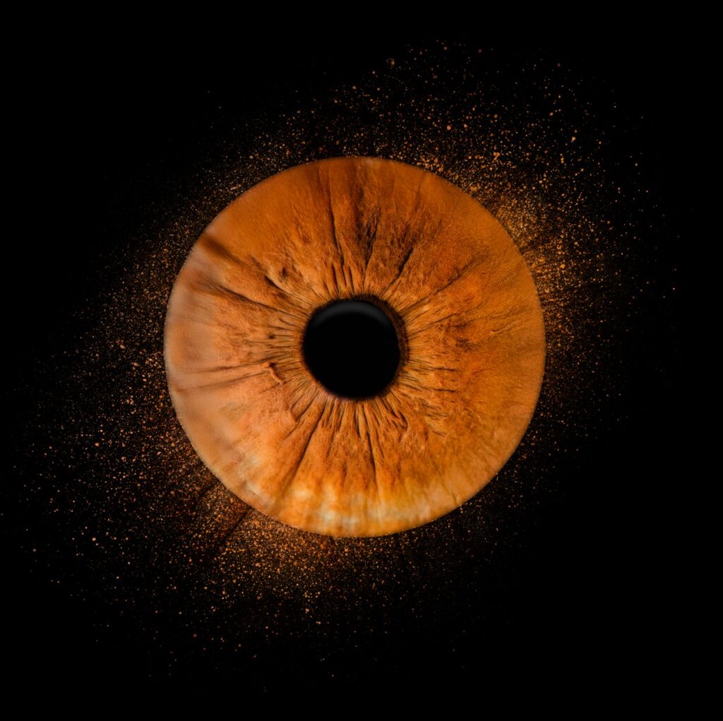 Braune Iris Splitter