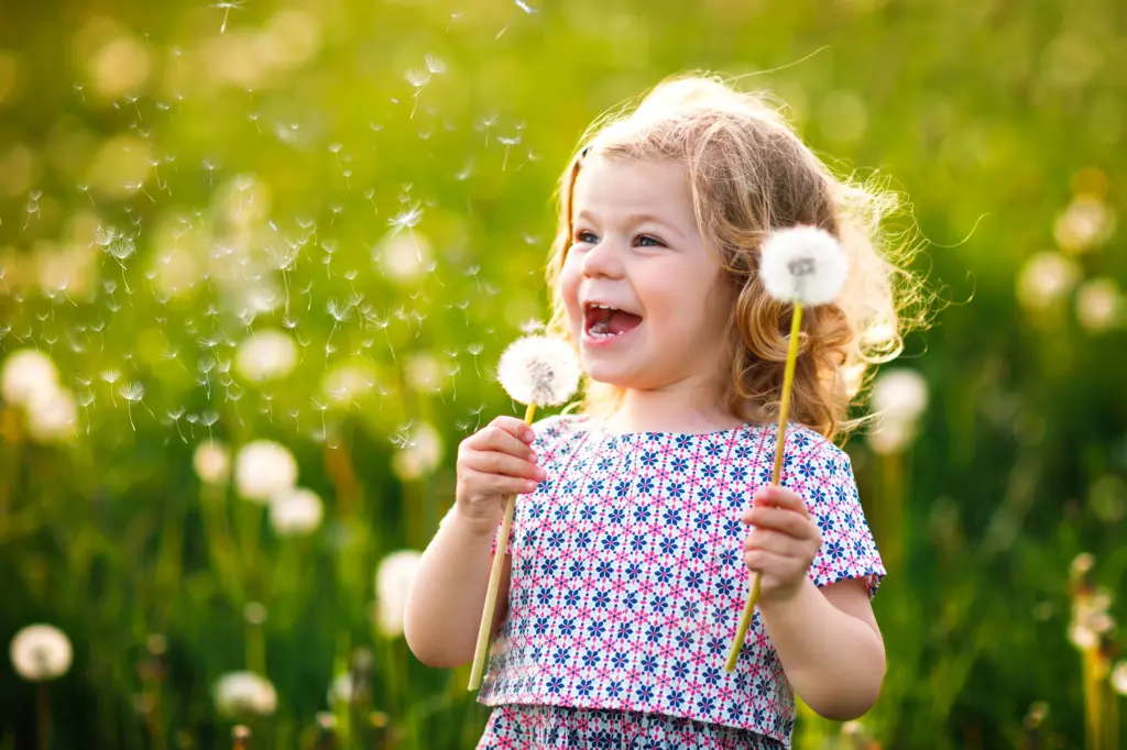 Echter Moment in Willich – Kind pustet Pusteblumen im Feld