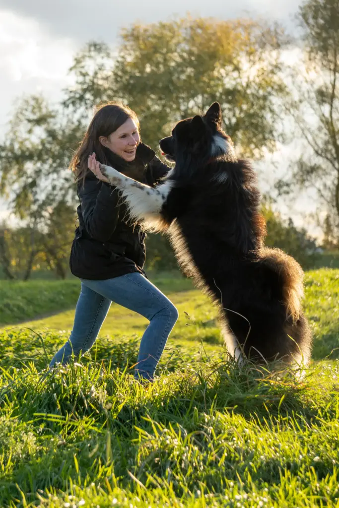 Echter Moment in Willich – spielerische Szene zwischen Mensch und Hund