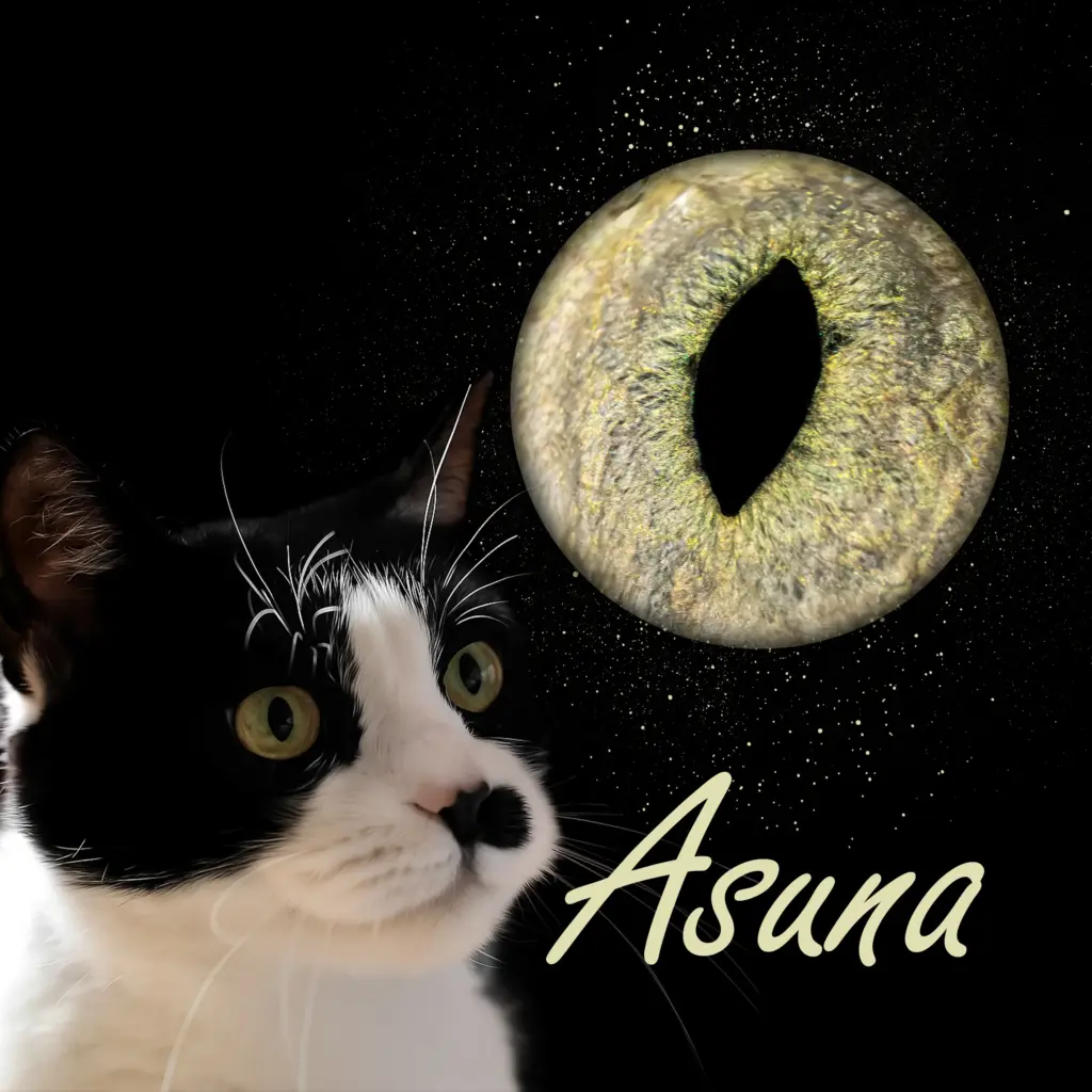 Irisfotografie – künstlerisches Katzenportrait mit Irisdarstellung von Asuna