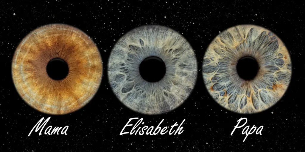 Irisfotografie – Iristrio von Mama, Elisabeth und Papa