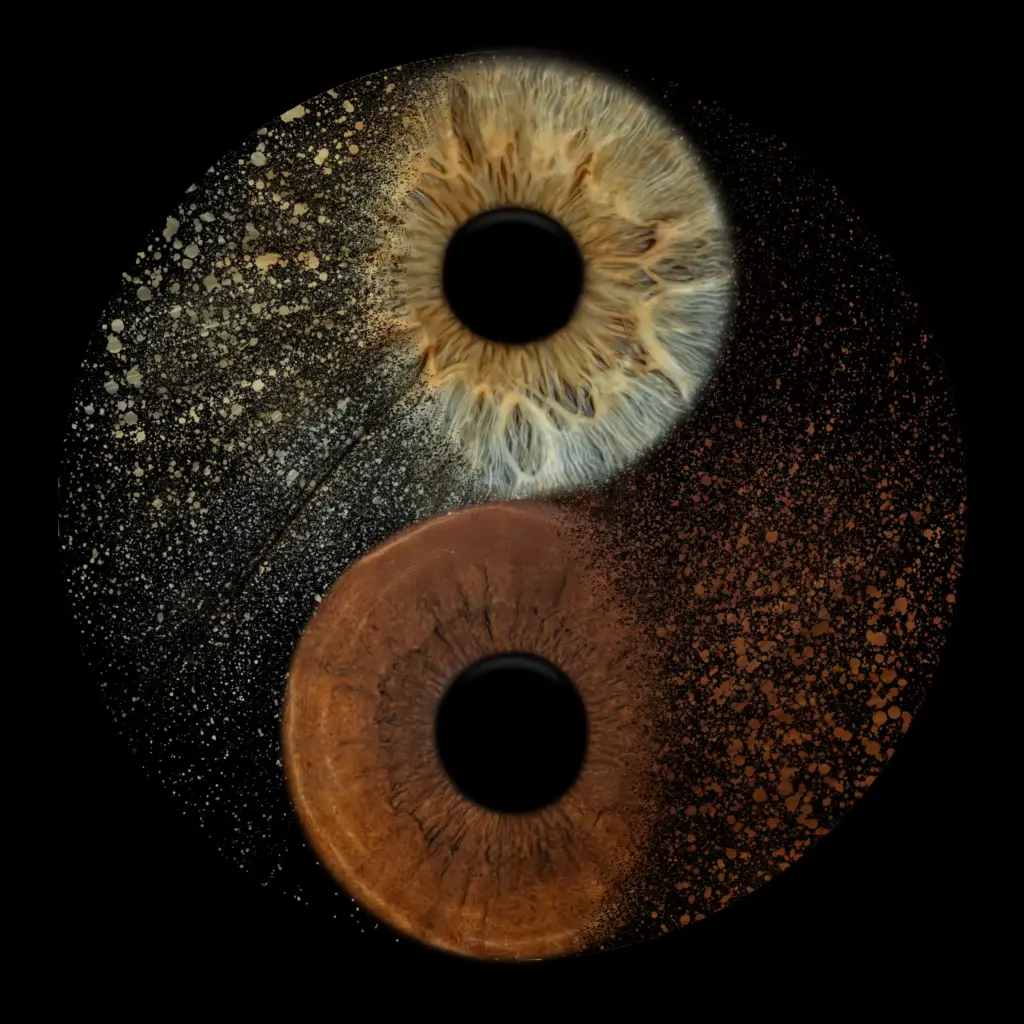 Irisfotografie – Yin‑Yang aus heller und dunkler Iris